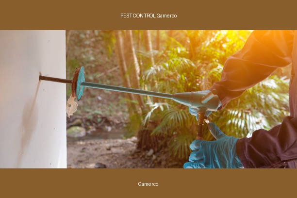 PEST CONTROL Gamerco